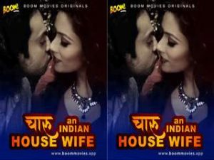 CHARU AN INDIAN HOUSEWIFE