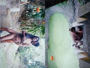 LOVE IN POND LOVE IN POND