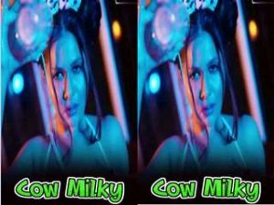 Cow Milky Aabha Paul Cow Milky Aabha Paul
