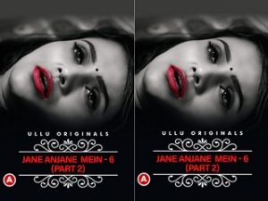 Charmsukh – Jane Anjane Mein 6 (Part – 2) Episode 5