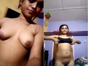 Desi Girl Shows Her Boobs and Pussy Desi Girl Shows Her Boobs and Pussy