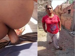 Desi Punjabi Bhabhi Fucking By Lover